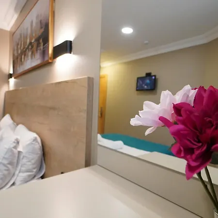 ザ マリスト カディコイ 2* イスタンブール