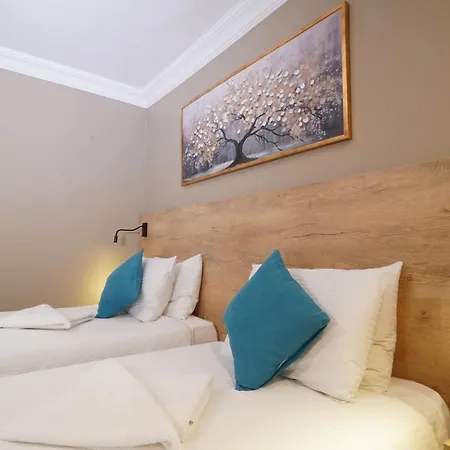 ホテル ザ マリスト カディコイ 2*