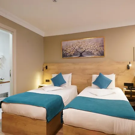 ザ マリスト カディコイ ホテル