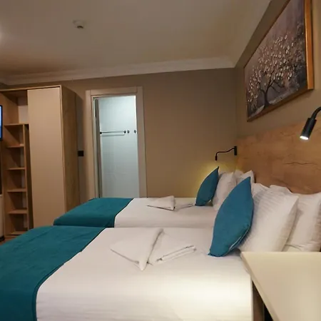 ザ マリスト カディコイ ホテル 2*