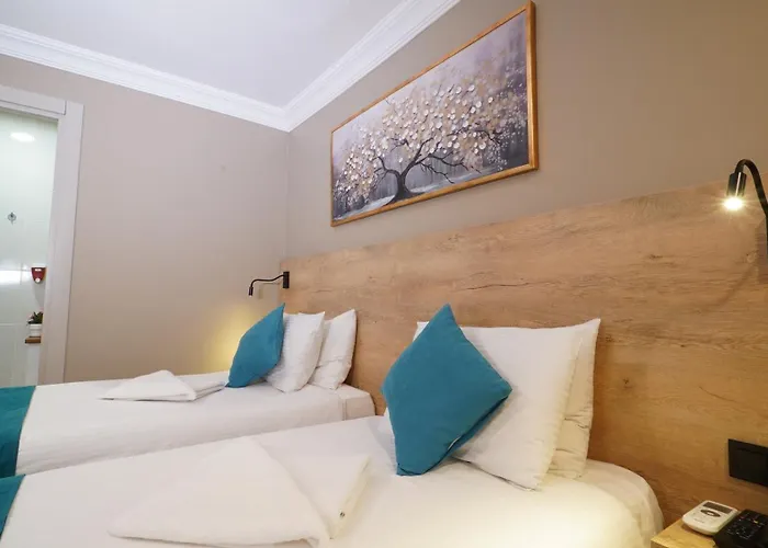 Hotel The Marist Kadikoy 2*