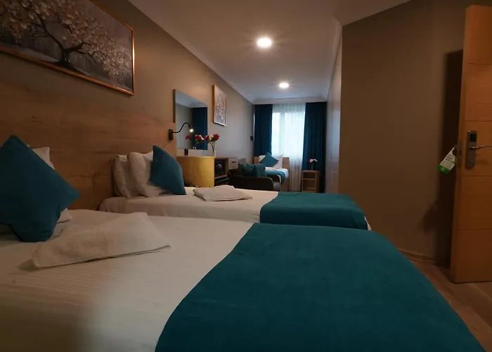 The Marist Kadikoy 2*